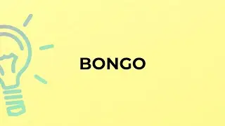 What is the meaning of the word BONGO?