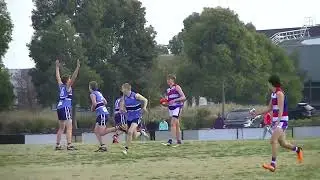 2024 Point Cook Centrals Sharks vs. Point Cook Bulldogs round 7 Q1