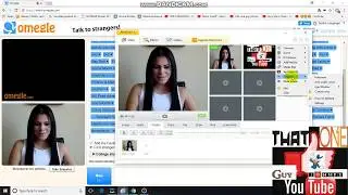 How To Get A  Custom Desktop Area using manycam 4.1
