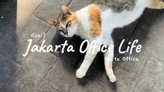 Jakarta Office Life - Go to Office #5| daily life as corporate wife 💼