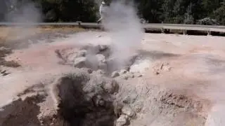 Fumaroles at Lower Geyser Basin, Yellowstone