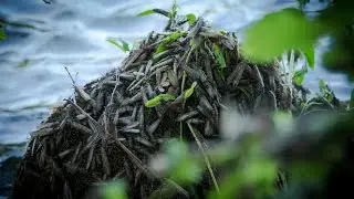 Ashland Fly Shop - Fishing Report June 10 2016