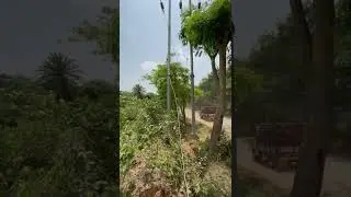 Stay set/ stay wire used in Electrical Pole 33kv line/Electrical_Engineer