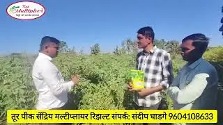तूर पीक सेंद्रिय मल्टीप्लायर रिझल्ट सर्व पिकासाठी मल्टीप्लायर वापरून एकदा अनुभव घ्या मोबा 9604108633