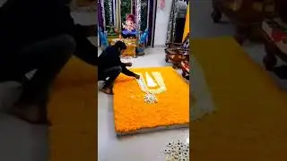 flower pasting GANPATI Decoration #ganpatidecor #ganeshotsav #ganesha #decorations #florists