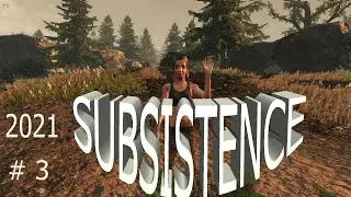 Subsistence 2021. Выжить любой ценой.