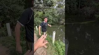 I WENT DOWN INTO THE ALLIGATOR SWAMP