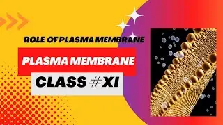 Role Of Plasma membrane | Cell structure and function| Class#XI | First chapter | Explain in Urdu
