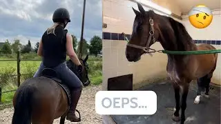 Rijden, DIK been en fotoshoot |Ponygeluk #VLOG40