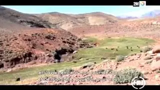 la vie du kahina la reine berbère