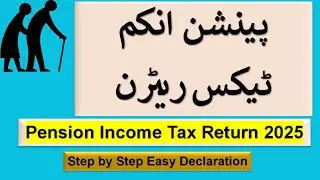 File Pension Income Tax Return in Pakistan (IRIS) &mdash; Step by step 2025