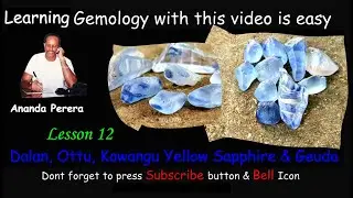 L 12 E | Exploring the Vibrant Colors of Dalan, Ottu, Kowngu Yellow, and Gewda: A Visual Feast