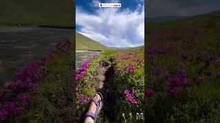 Deosai National Park | Heaven on Earth