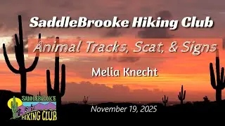 Animal Tracks, Scat, and Signs