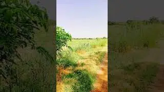 Tali Adaa sy Notehen road beautiful view by apna Kisran village team