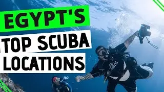 SCUBA Diving Egypt: Top 5 Dive sites in Egypt
