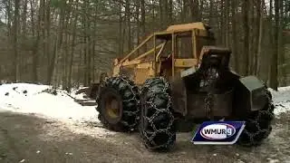 Grow it Green: Timber harvesting on conservation land