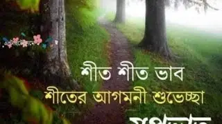 funny video 2019 1