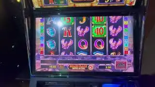 BINGO SESH. Gold fish, snow leopard, secrets of memnon, burn em up gold , Thai flower + more