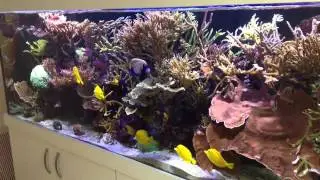 1500 Litre Biopellet Aquarium