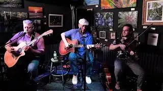 Fields of Gold Final    David Goodman. Dan Lombardi. Paddy King live at the Brewhouse Gallery