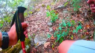 Oso Negro 100K Enero 2020