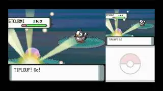 Tiplouf Shiny 5202 Reset
