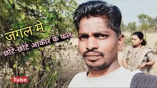 जंगल मे छोटे आकार वाले फल🍐🍒| small fruits in the forest👈 #fruits #forest #vlogging #video