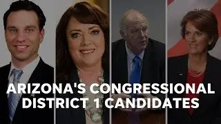 Here's who is running for Congress in Arizona's 1st District in 2018