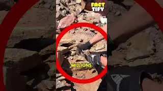 Man Finds 30-Million-Year-Old Gemstone in the Mountains! ⛰💎✨ #facts #viral #viralvideo #viralshorts