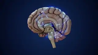 Half Human Brain Emitting Synaptic Signal Waves stock footage | stock video | Cinefootage