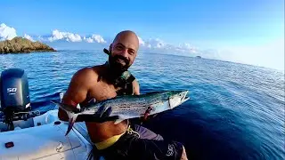 Spearfishing Mackerel Catch N Cook! | Mackerel Sashimi and Mint Salad Wraps