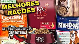 TESTE DE RA&Ccedil;&Atilde;O GOLDEN POWER TRAINING vs GRAN PLUS MENU | MAX DOG cachorro gigante