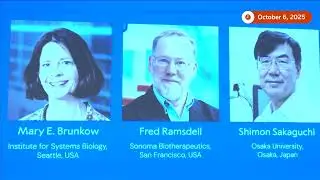 Nobel medicine prize awarded for key findings on immune system | REUTERS