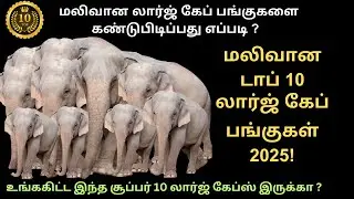 மலிவான லார்ஜ் கேப் பங்குகளை கண்டுபிடிப்பது எப்படி? #largecapstocks for #2025 #sharemarkettamil
