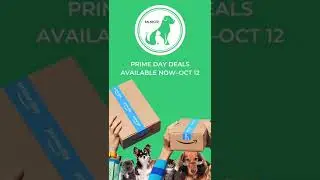 Amazon Prime Day Pet Vitamins #SHORTS