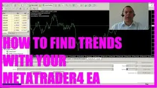 Учебник MQL4 Bootcamp2 - 5. Модуль Check Any Trend