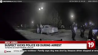 Suspect accused of kicking Solon police K-9 during arrest