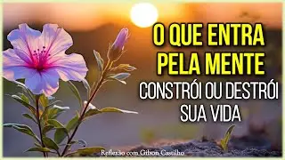 O Que Entra Pela Mente Constr&oacute;i ou Destr&oacute;i Sua Vida