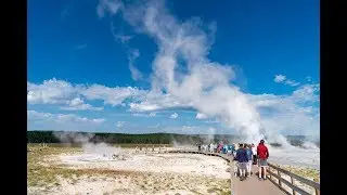 14910 - Wildlife & Geysers: Yellowstone With Your Younger Grandchild