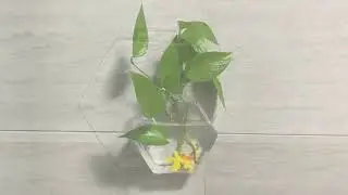 Glass Hanging Wall Vase Flower Rhombus Planter Plant Containers