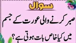 Top Islamic Questions Answers - UrduQuiz - Islamic Paheliyan - Islami SawalJawab - Islamic Quiz | Gk