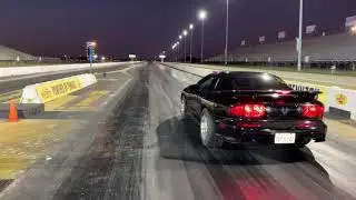 6.0 Trans Am 100 shot