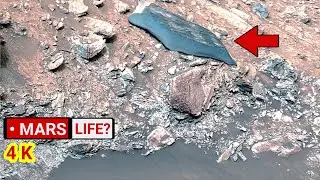 Mars' Curiosity Rover Sends Most Remarkable Footage of Geological Life! Perseverance & Curiosity 4K