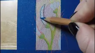 Cudweed - Miniature Pastel Plant Picture