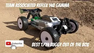 Best 1/14 scale buggy out of the box Team Associated Reflex 14B Gamma