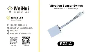 High Sensitivity Vibration Sensor Switch
