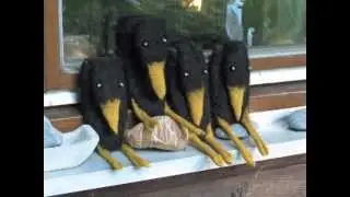 Die Filzmenagerie