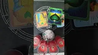 Cuối cùng thì hạnh phúc có mỉm cười với hai bạn Minh Phương tarot Zalo 097 659 8884 Em gái miền Tây