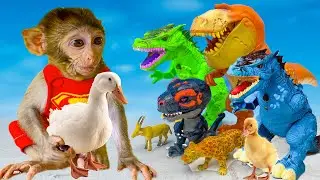 BLUE DINOSAURUS TREX & WHITE KONG Evolution of GREEN LONG NECK Ft Monkey baby Bi Bon & Duck